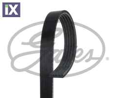 ΙΜΑΝΤΑΣ ΔΥΝΑΜΟ POLY-V  5PK1173               5PK1173 2114000Z02 2114000Z2D 55219226 9001045309A 900145309A 9936581170 117200P600 117200P610 117201P660 2114000Z02 2114000Z2D 2114097200 1867503380 46548