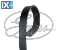 ΙΜΑΝΤΑΣ ΔΥΝΑΜΟ POLY-V  6PK1590               6PK1590 06B903137D 9091602649 9091602701 809221080 9091602649 044260849B 06B903137C 06B903137D 06H903137C 7204036 F53E8620BB 5750QW 5750XK 5750YL 964959288